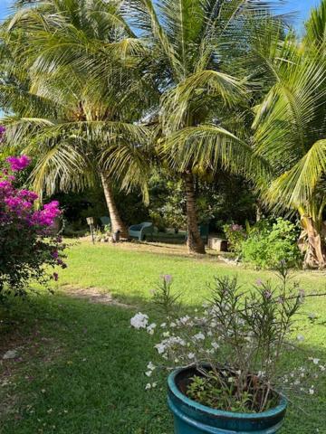 Ferienwohnung Jardin des Anges-Ch. Rose Le Moule Exterior foto