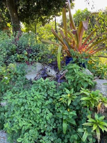 Ferienwohnung Jardin des Anges-Ch. Rose Le Moule Exterior foto