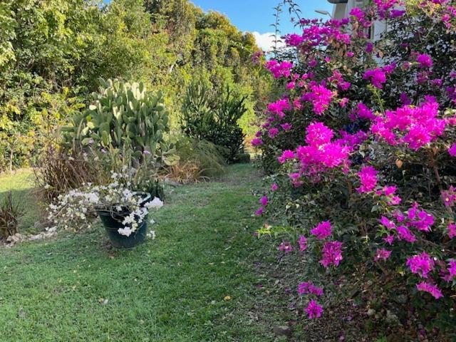 Ferienwohnung Jardin des Anges-Ch. Rose Le Moule Exterior foto