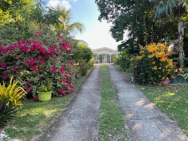 Ferienwohnung Jardin des Anges-Ch. Rose Le Moule Exterior foto